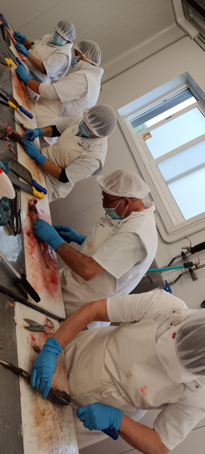 Venta y manipulación de productos de pescadería