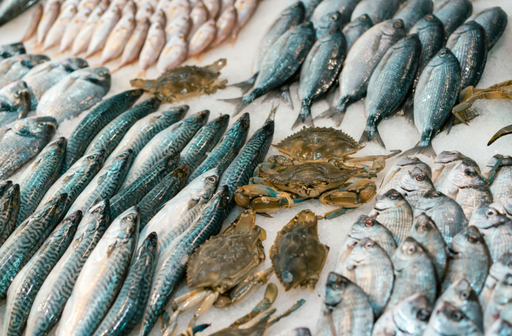 Curso gratuito: Venta y manipulación de productos de pescadería