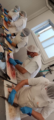 Curso gratuito: Venta y manipulación de productos de pescadería