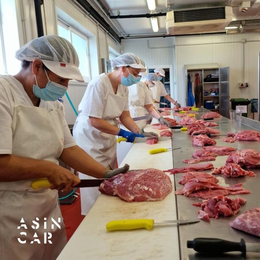 Plantilla para cursos